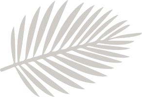 layout-slider1-011.png