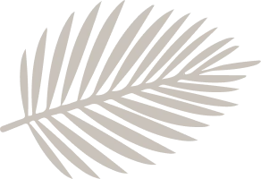 layout-slider2-011.png