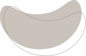 layout-slider2-031.png