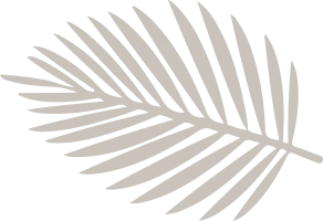 layout-slider3-031.png